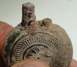 post-2898-0-69486800-1397462074_thumb.jp