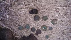 post-29541-0-84650200-1397161862_thumb.j