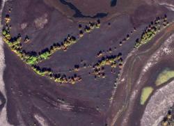 post-30655-0-90421500-1397008198_thumb.j