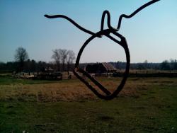 post-30838-0-28655400-1398091359_thumb.j