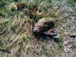 post-30838-0-75988300-1398091805_thumb.j