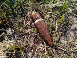 post-30838-0-79650000-1398091578_thumb.j