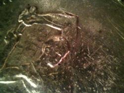 post-31123-0-51255400-1397694186_thumb.j