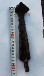 post-31149-0-16271400-1398182326_thumb.j