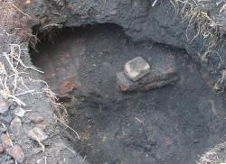 post-31149-0-76746700-1398074222_thumb.j