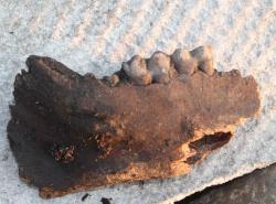 post-31149-0-83343200-1398094367_thumb.j