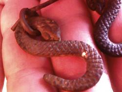 post-4269-0-75491100-1398776486_thumb.jp