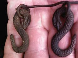 post-4269-0-94640100-1398776418_thumb.jp