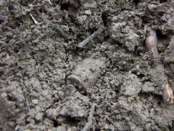 post-4489-0-18264000-1396443325_thumb.jp