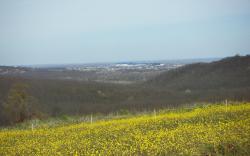 post-4489-0-26958100-1397751191_thumb.jp