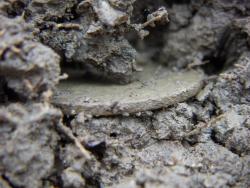 post-4489-0-32781500-1396443261_thumb.jp