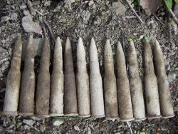 post-4489-0-43120800-1396443589_thumb.jp