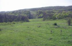 post-4489-0-45029100-1398331389_thumb.jp