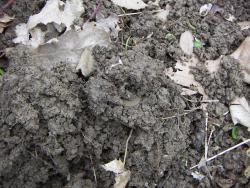 post-4489-0-74543600-1396443002_thumb.jp