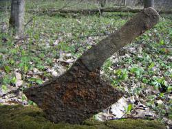 post-4489-0-84674100-1396443632_thumb.jp