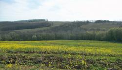 post-4489-0-86249000-1397751177_thumb.jp