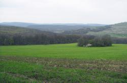 post-4489-0-93411000-1398331423_thumb.jp