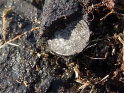 post-4989-0-20471200-1396705372_thumb.jp