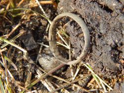 post-4989-0-53651000-1396705187_thumb.jp