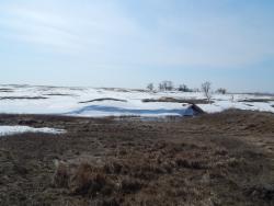 post-4989-0-60185700-1396704844_thumb.jp