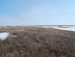 post-4989-0-65178100-1396704892_thumb.jp