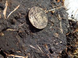 post-4989-0-71181600-1396705277_thumb.jp