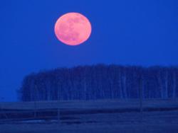 post-4989-0-84676800-1398187250_thumb.jp