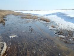 post-4989-0-86522100-1396704971_thumb.jp