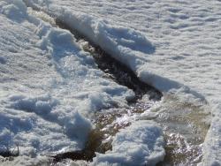 post-4989-0-97136200-1396705101_thumb.jp