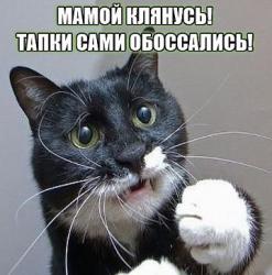 post-5029-0-06758900-1397230499_thumb.jp