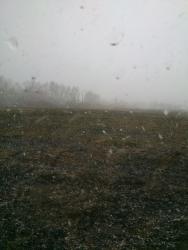 post-5773-0-05091500-1398664244_thumb.jp