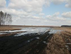 post-5773-0-20595700-1396795123_thumb.jp