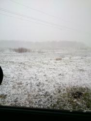 post-5773-0-25504900-1398664278_thumb.jp