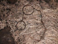 post-5773-0-57151900-1396795472_thumb.jp