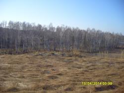 post-6107-0-23281400-1397400037_thumb.jp