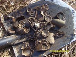 post-6107-0-59473200-1397399501_thumb.jp