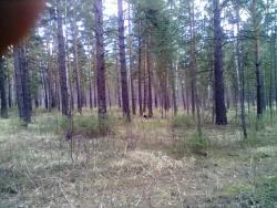 post-6447-0-05394000-1397483148_thumb.jp