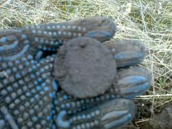 post-6685-0-05923400-1397576126_thumb.jp