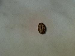 post-6685-0-16283600-1398136334_thumb.jp