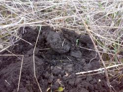 post-6685-0-18321100-1397576113_thumb.jp