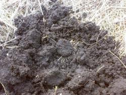 post-6685-0-45998700-1397575696_thumb.jp