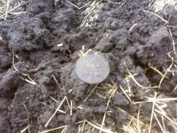 post-6685-0-53668400-1397575707_thumb.jp