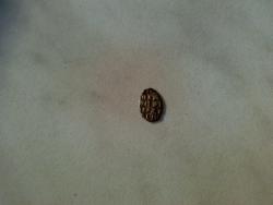 post-6685-0-81013100-1397874198_thumb.jp