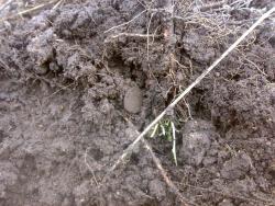 post-6685-0-84732300-1397576458_thumb.jp