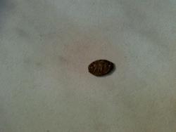 post-6685-0-93526500-1397874211_thumb.jp