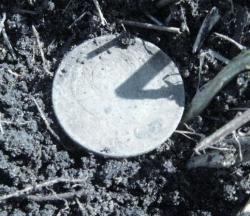 post-6890-0-30774000-1396887096_thumb.jp