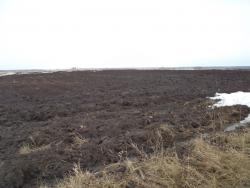 post-7121-0-09698400-1396365229_thumb.jp