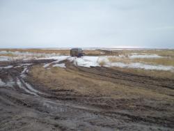 post-7121-0-63903500-1396365251_thumb.jp