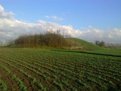 post-9171-0-29276900-1397845545_thumb.jp