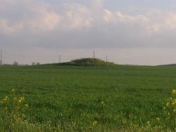 post-9171-0-80269000-1397845508_thumb.jp